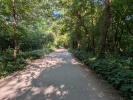 Strada Ghidighici