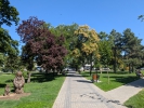 Aleie Parcul Central Cahul