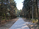 Parcul din Ciuciuleni